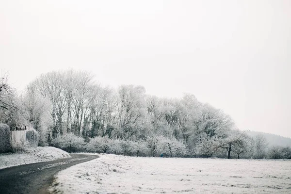 Karla Kaplı Bir Orman Tarlanın Ortasından Geçen Bir Yol — Stok fotoğraf
