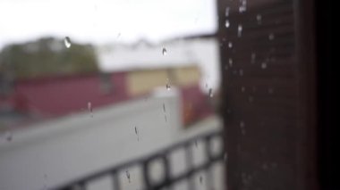 Bulanık arkaplanı olan penceredeki yağmur damlalarının yakın plan görüntüsü