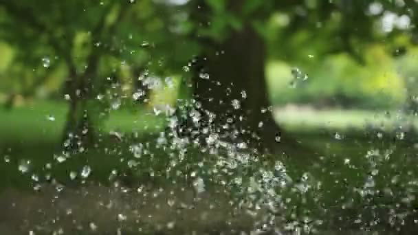 公园内喷水的特写镜头 — 图库视频影像