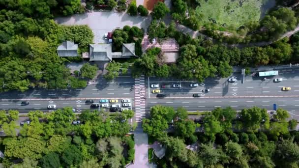 Pandangan Udara Atas Lalu Lintas Sibuk Sebuah Jalan Kota Hijau — Stok Video