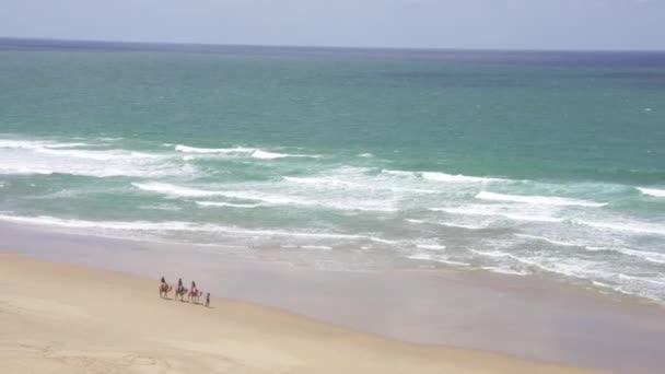 Krajobraz Wielbłądów Plaży Otoczony Morzem Tangerze Maroko — Wideo stockowe