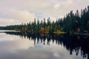 Svartdal Stjerna Gölü 'nün güzel bir manzarası Totenaasen Tepeleri, Oppland, Norveç