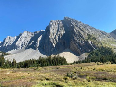 Güneşli bir günde, arka planda mavi gökyüzü olan güzel Chester Dağı, Alberta, Kanada