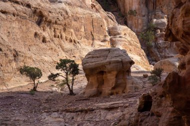 Ürdün Petra 'daki güzel dağların havadan görünüşü