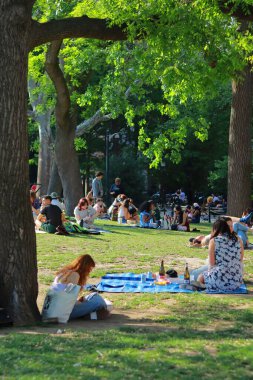 Güneşli bir günde parktaki çimlerin üzerinde dinlenen insanların görüntüsü.