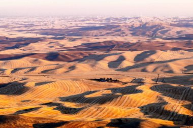 Güzel bir altın gün batımı biçilmiş buğday tarlasının üzerinde Solgun bir tepe yüzeyi ile