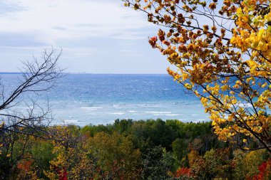 Kuzey Michigan 'daki Ağaç Tüneli' nin sularındaki tüm ağaçların güzel bir görüntüsü.