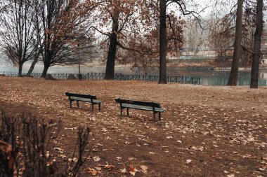Nehir kıyısında iki sırık ve kışın yapraklarla çevrili ağaçlarla dolu sakin bir park.