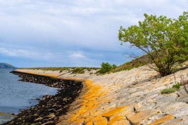 Dun Laoghaire İrlanda 'da Renklerin Gelgiti