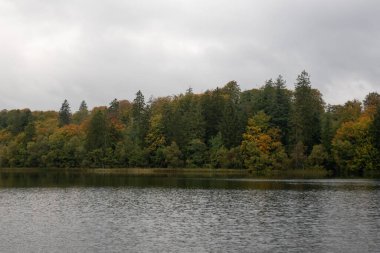 Sonbaharda göl kıyısındaki yeşil bir ormanın göl yüzeyindeki yansımasının güzel bir görüntüsü.