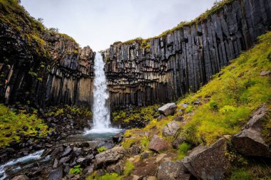 A beautiful shot of the flowing Svartifoss waterfall on a cloudy day in  Iceland clipart