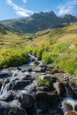 Tour Du Mount Blanc 'ta yeşil bir manzaranın ortasında akan bir nehrin dikey çekimi