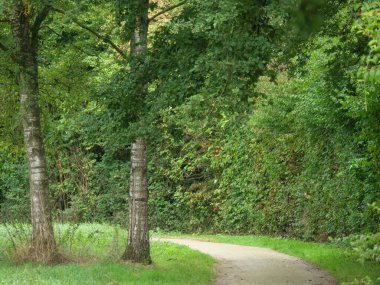 Borken Germnay 'de sık bitki ve otlarla çevrili bir patika.
