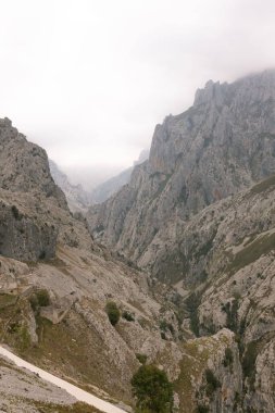 Ruta del Cares, Asturias, İspanya 'daki kayalık dağların nefes kesici manzarası