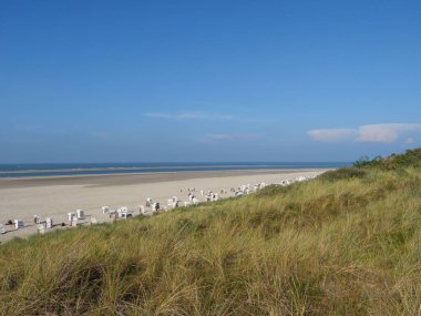 Sahilde çimlerle kaplı bir yamaç ve plajda arka planda birçok plaj sandalyesi ve deniz vardır.