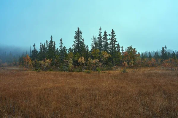 Een Prachtig Landschap Van Het Svartdalstjerna Woud Herfst Met Een — Stockfoto