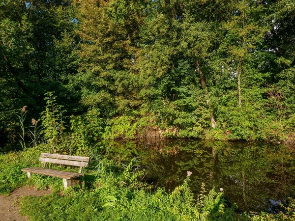 Река Боркен Германия Окружена Густой Зеленой Растительностью — стоковое фото