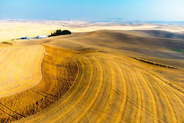 Όμορφη Θέα Ενός Θεριζόμενου Σιταριού Κυλιόμενη Επιφάνεια Λόφου — Φωτογραφία Αρχείου