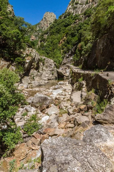 Bir Dağın Kayalık Yolu — Stok fotoğraf