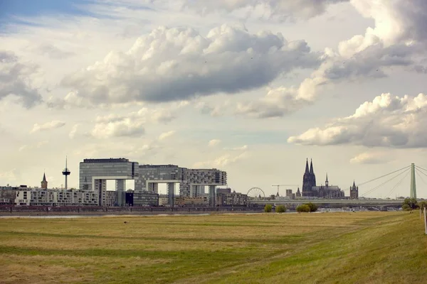 Campo Edificios Modernos Catedral Colonia Alemania — Foto de Stock