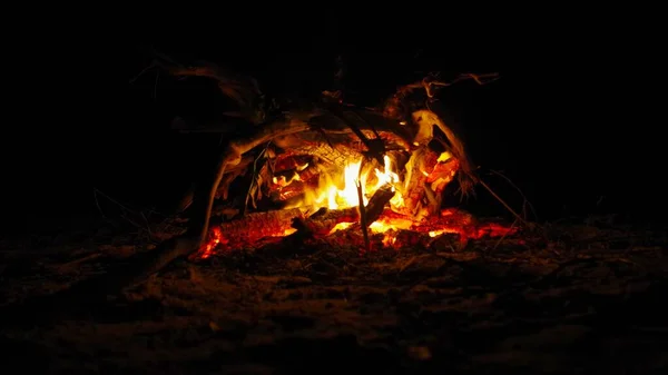 地面に明るく燃えるたき火 — ストック写真