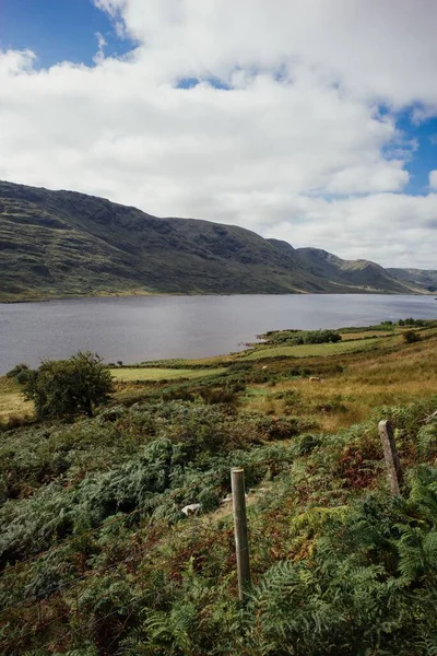 Vertikal Bild Landskapet Vid Connemara National Park Irland — Stockfoto