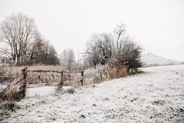 Çıplak Ağaçlar Kışın Çitlerle Kaplı Karla Kaplı Bir Tarla — Stok fotoğraf