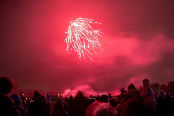Multitud Disfrutando Los Hermosos Fuegos Artificiales Por Noche Durante Evento —  Fotos de Stock