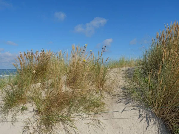 Een Grasveld Een Zandduin Onder Heldere Lucht Het Eiland Spiekeroog — Stockfoto