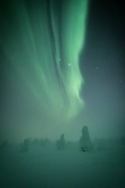 フィンランドのラップランドの雪に覆われた森の星空の中でのオーロラの垂直撮影 — ストック写真