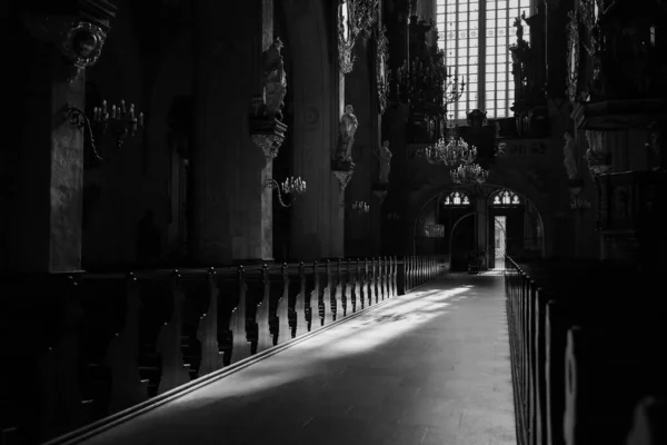 Beautiful Interior Cathedral Swidnica Grayscale — Stock Photo, Image
