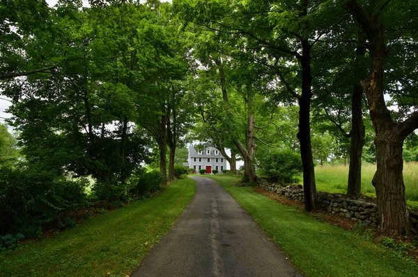 Beautiful Shot Narrow Path Surrounded Trees Leading Big House — Stock Photo, Image