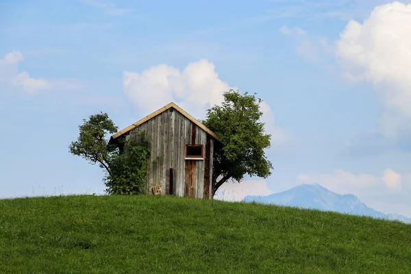 Wooden Hut Built Green Hill Few Leafy Trees Blue Sky — Stock Photo, Image