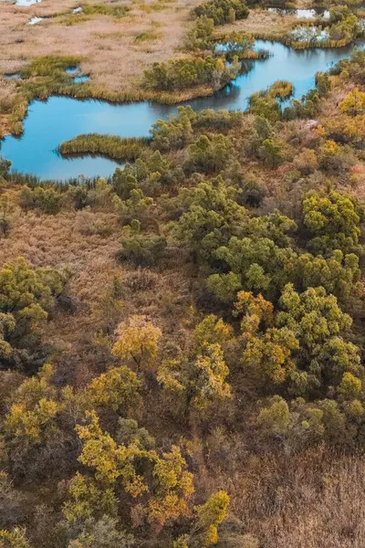 Vertical Aerial Shot Blue Lake Surrounded Trees Field Autumn — Stock Photo, Image