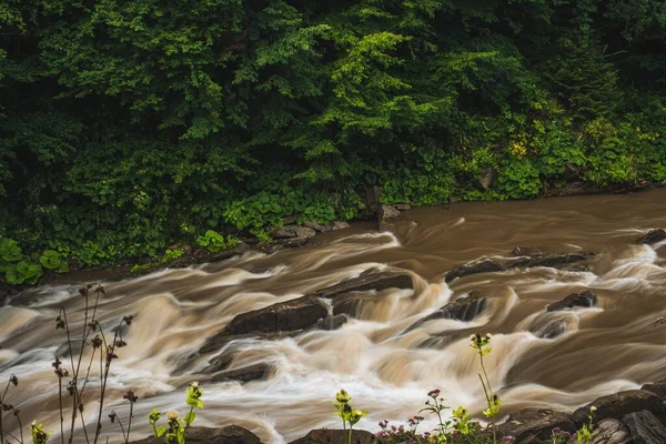 ポーランドのBieszzczady山の緑の森を流れる川の景色 — ストック写真