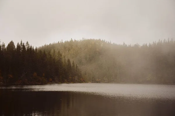 Krásná Scenérie Lesa Svartdalstjerna Podzim Jezerem Mlhou Totenasen Hills Norsko — Stock fotografie