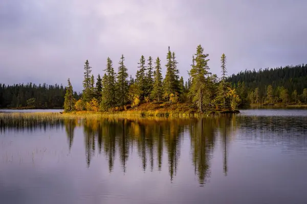 秋にはノルウェーのトテナセン丘陵のスバルダルスタージェナ森林保護区の湖 — ストック写真