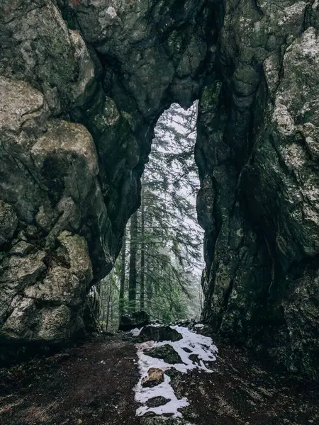 Colpo Verticale Una Formazione Rocciosa Nel Parco Forestale Golubinjak Inverno — Foto Stock
