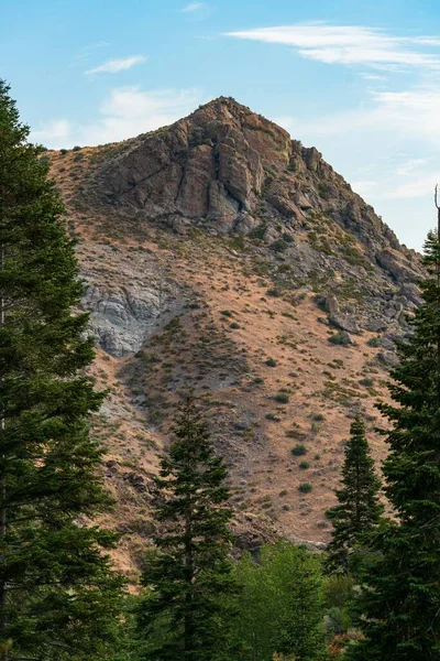 Vertikální Záběr Stromů Kamenitým Vrcholkem Pozadí Hunter Creek Trail Reno — Stock fotografie