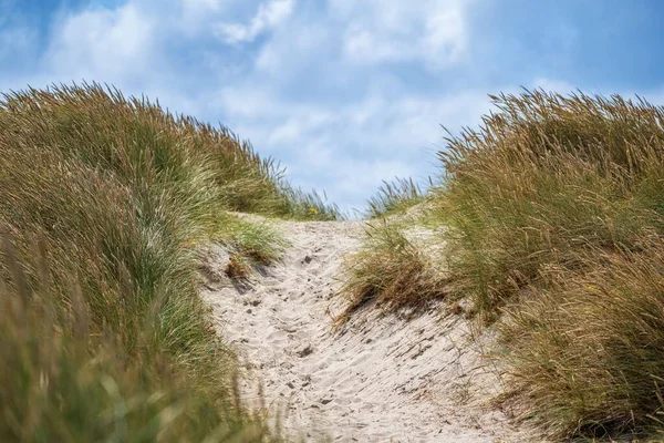 北海の砂丘の上の歩道 — ストック写真