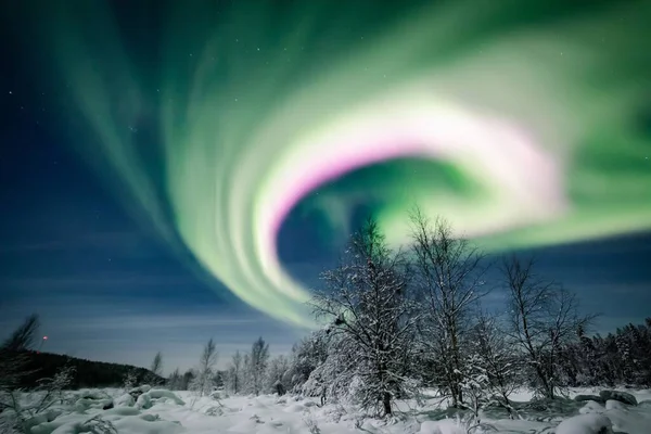 Aurora Polar Ilumina Céu Estrelado Floresta Abetos Nevados Lapônia Finlândia — Fotografia de Stock