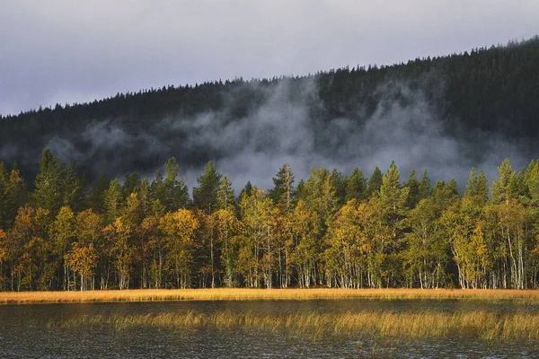 노르웨이 오플란 힐스에 나무가 있는스 스테이나 호수의 아름다운 — 스톡 사진