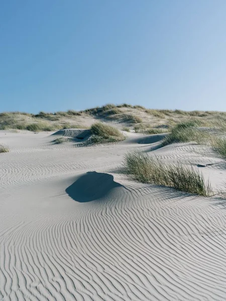 Eine Vertikale Aufnahme Eines Schönen Strandes Auf Juist Deutschland — Stockfoto