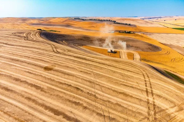 一台收割机在田里干活和收割小麦的鸟瞰图 — 图库照片