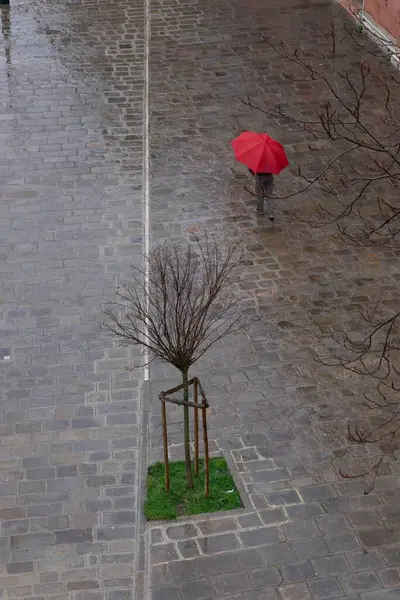 ヴェネツィアの石畳の通りの真ん中に赤い傘が葉のない木を歩いている人 — ストック写真