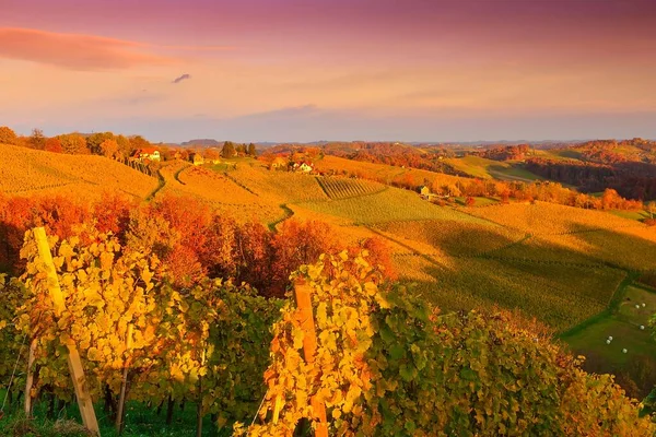 Een Schilderachtig Landschap Met Wijngaarden Landbouwvelden Heuvel Bij Kleurrijke Heldere — Stockfoto