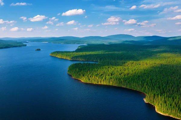 Красивий Вид Озеро Ліс Зеленими Деревами Під Час Сходу Сонця — стокове фото