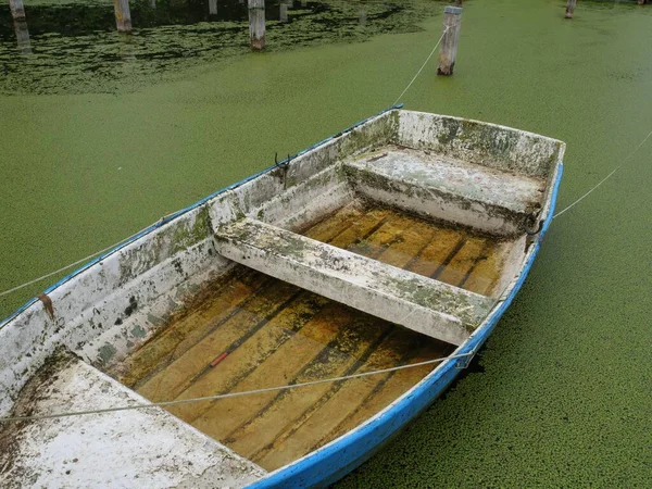 Closeup Old Wooden Boat Dirty Lake Covered Moss Westphalia Germany — Stock Photo, Image