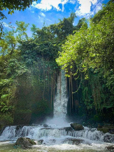 Tiro Vertical Uma Cachoeira Fluindo Floresta — Fotografia de Stock
