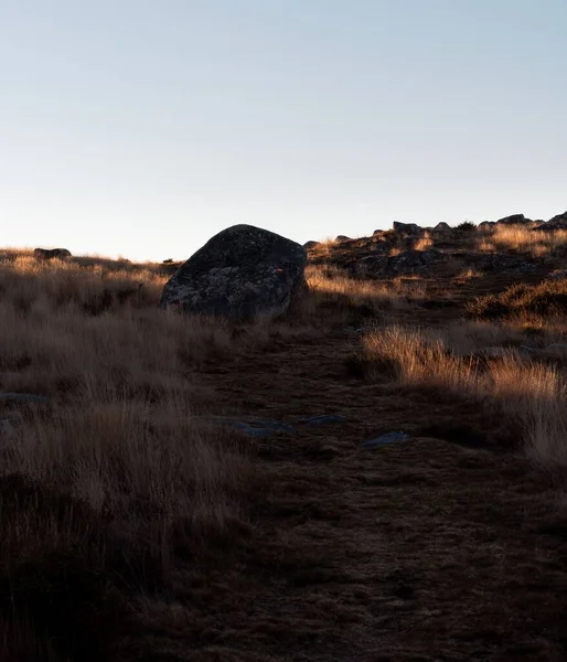 Ein Felsen Auf Einem Grasbewachsenen Hügel Mit Klarem Himmel Hintergrund — Stockfoto